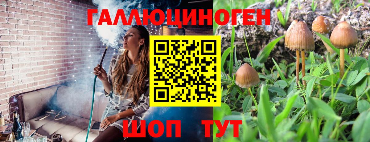 Мыски  Галлюциногенные грибы GOLDEN TEACHER  Вход с VPN 